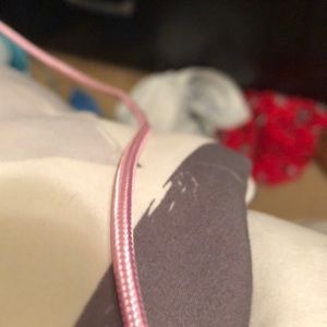 Meet your Posher, Kyleigh